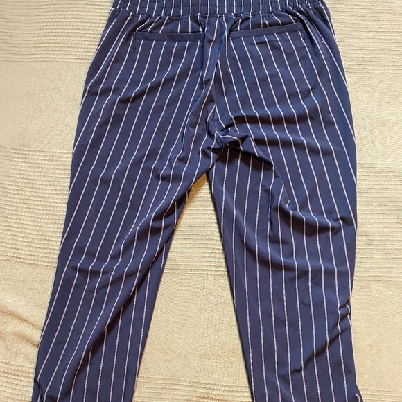 Athleta Midtown Ankle Pant Blue Stripe Size 10 - Picture 4 of 5